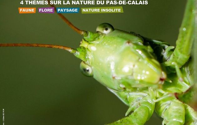 CONCOURS PHOTO " NATURE "...AVEC EDEN 62...