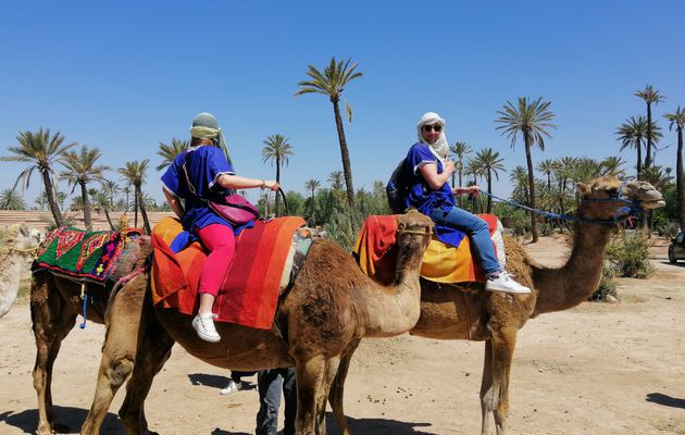 Excursion Marrakech