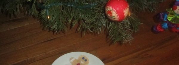 bricolage noel #24