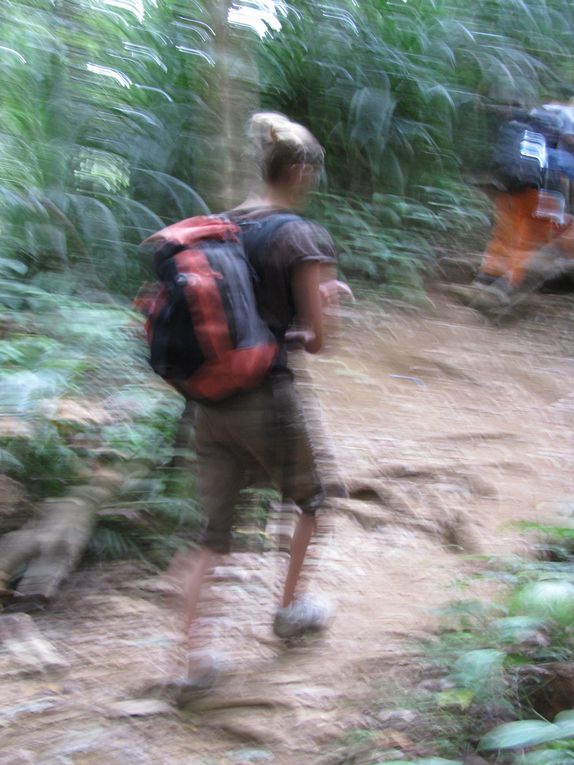 Album - Ascension-du-volcan-Rinjani