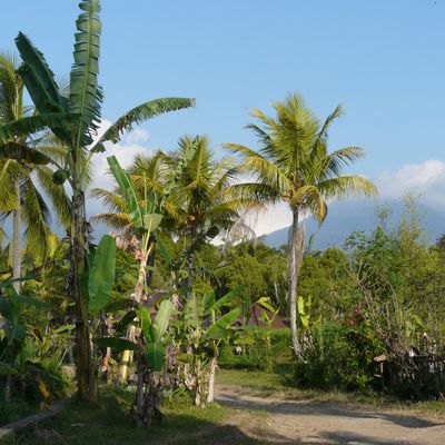 Lombok et Bali (2ème partie)