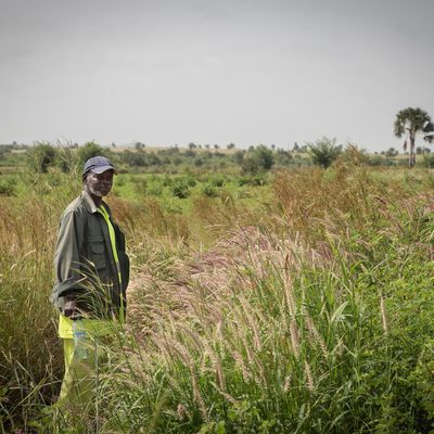 One Planet Summit : Comment l'Agence Française de Développement appuie la restauration des terres en Mauritanie