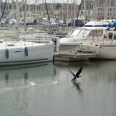  dans le port de paimpol