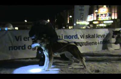 Vidéo de l'arrivée de la finnmarkslopet 2012