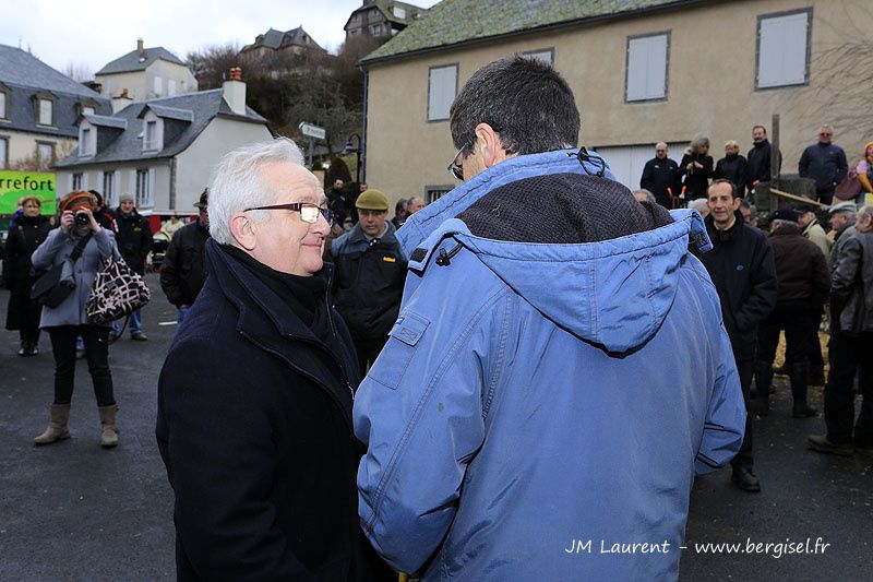 Journée du 17 mars 2013