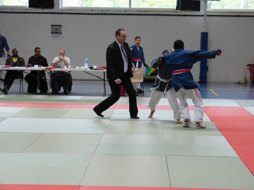 2e partie des photos de la compétition de Nihon Budo du 10 mai 2015 au gymnase des droits de l'Homme à Guyancourt.