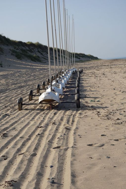 Séjour dans le Cotentin mai 2023