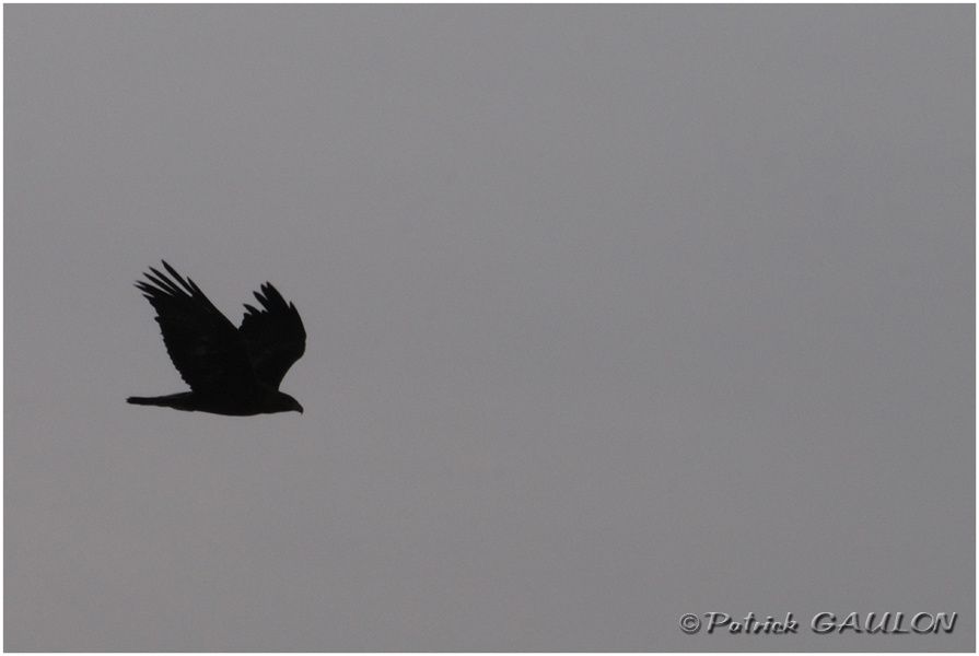 Album - Dans-le-ciel-de-la-vallee