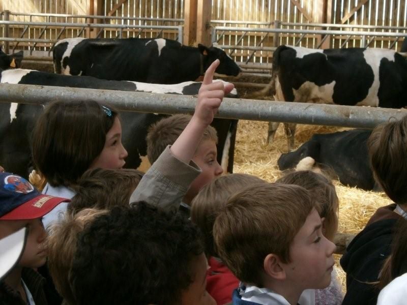 Partagez avec nous quelques-unes sorties réalisées cette année : Le bois de Creuse, la ferme d'antan, le parc de Thoiry, le voyage à Canterbury en Angleterre...