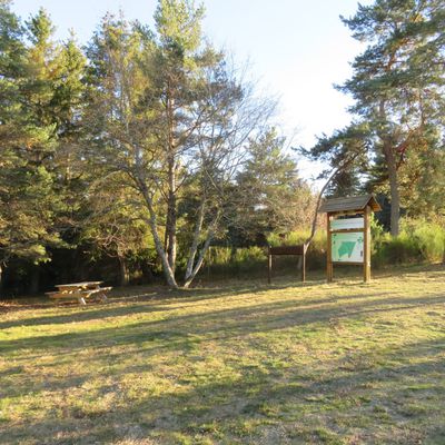 L'arboretum de Saint-Préjet-d'Allier 1 / Balade en Haute-Loire