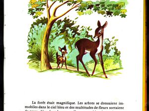 Bambi Raconté par Claude Nicot et Anna Gaylor