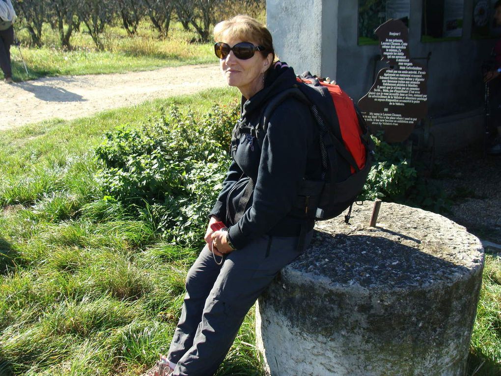 Des poiriers de Valloire au château du Double