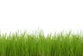 Le Blog des produits Bio et Naturels