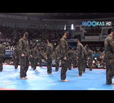 Taekwondo display by the Korean army at the 2013 Hammadang