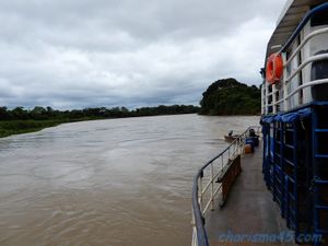 Pantanal nord (Brésil en camping-car)