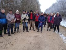 JONQUILLES 19 JANVIER