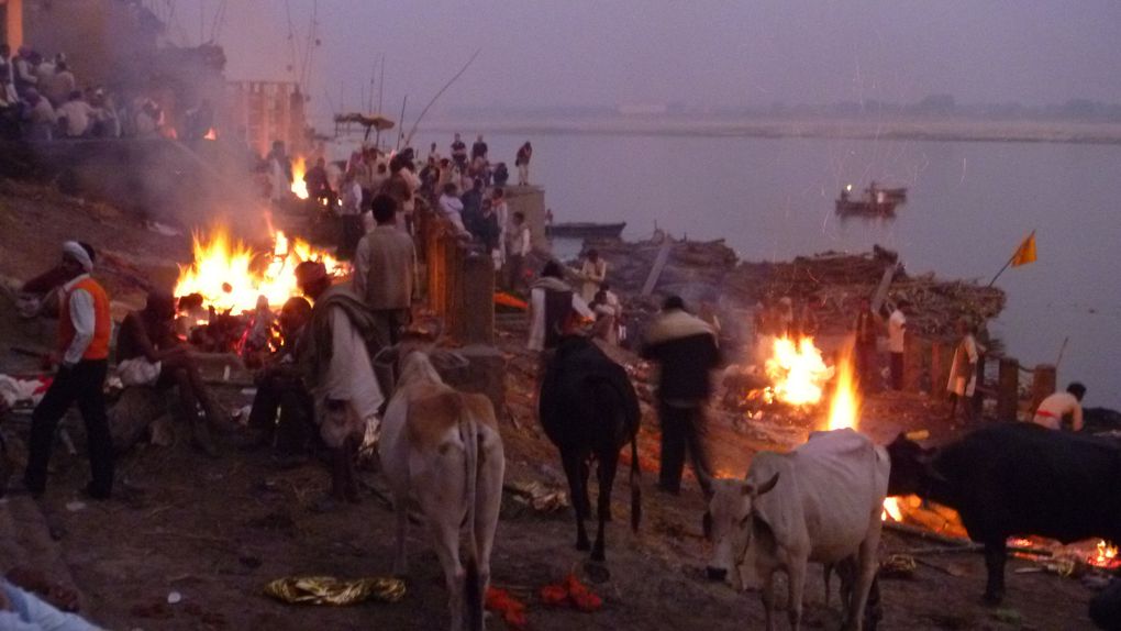 Album - Inde-Varanasi