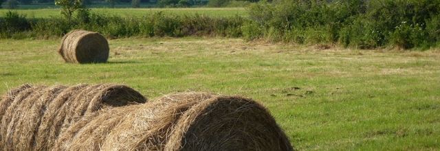 Vacances en Haute-Loire...