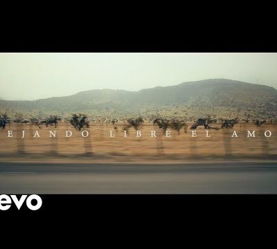 Chancho en Piedra - Dejando Libre el Amor