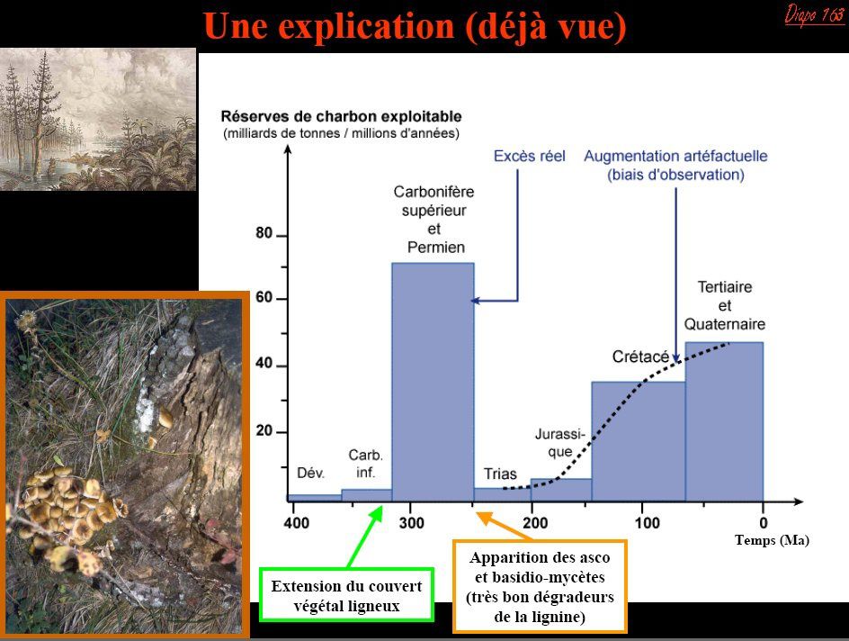 Les variations climatiques