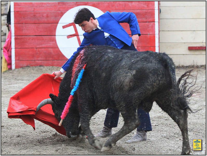 DIAPORAMA DE LA FAENA DE VINCENT PEREZ