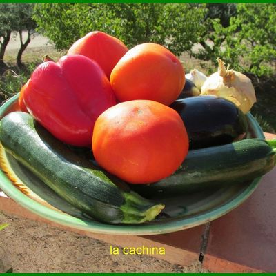 Tian  + ratatouille au four, et pour tout vous dire