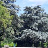 Promenade VI - Le Parc Duden - Promenades Forestoises