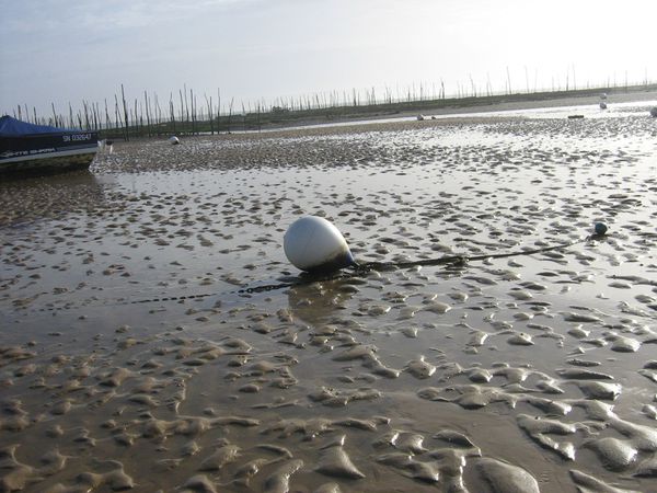 C'est marée basse ; je tombe sous une sorte d'enchantement