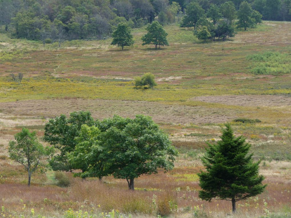 Album - 11.Shenandoah Park (Virginie-sept.)