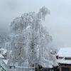 Cauterets sous la neige, suite