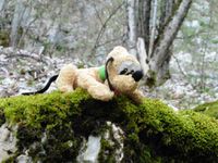 Le petit chien au creux du chemin. Le flot jaillit du trou de la Doria et se répand en cascades.