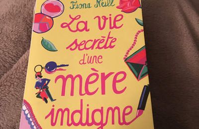 La vie secrète d'une mère indigne-Fiona Neill