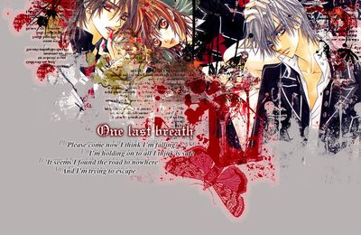 Vampire Knight - Graphique