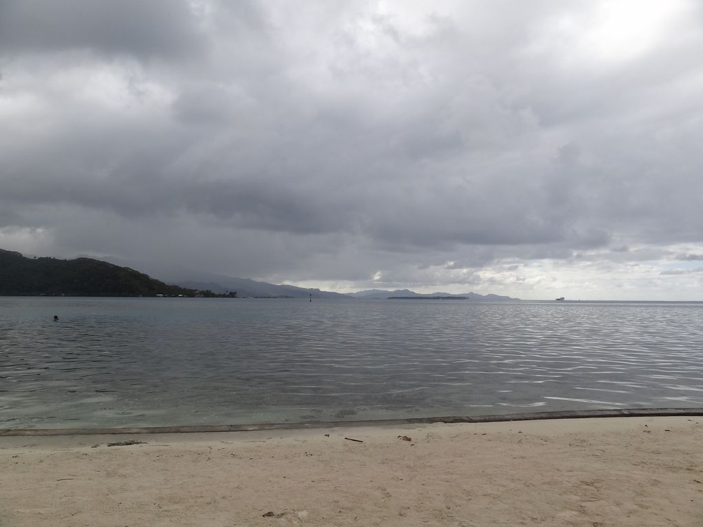 quelques plages de l'île de RAIATEA
1.plage du Marae TAPUTAPUATEA(les enfants ont pieds jusqu'au récif)