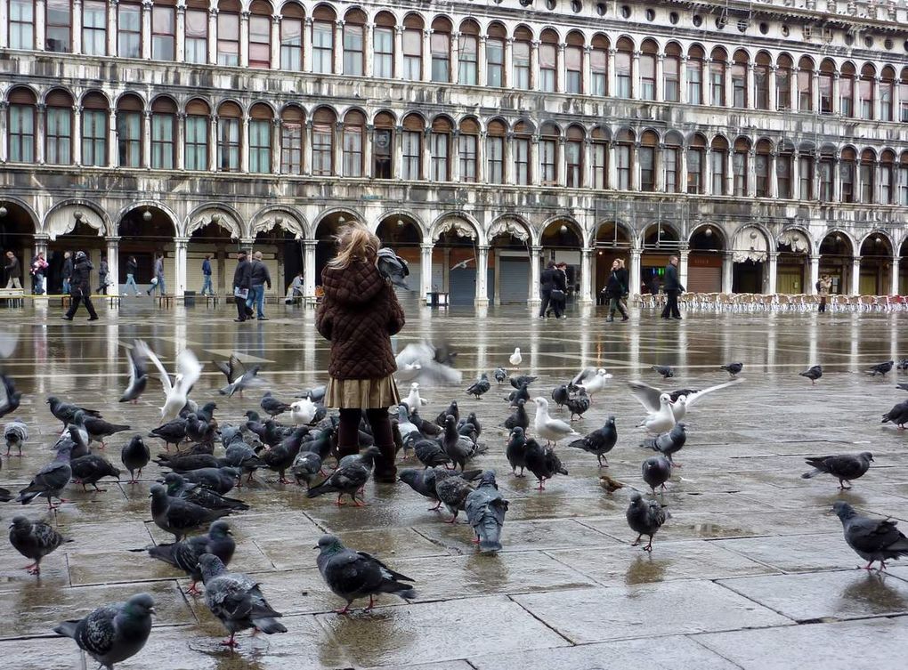 Album photos : Venise 2009