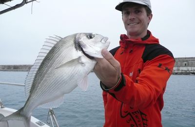 Pêche de la daurade à Sète aux appats