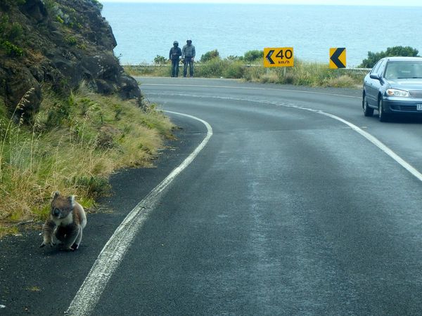 Great Ocean Road - Novembre 2014 