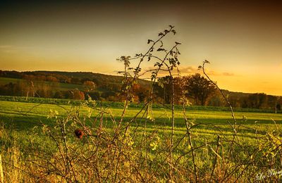 UN SOIR D'AUTOMNE  EN PERCHE  NOVEMBRE 2017  17 H