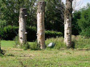 Sculptures sur peuplier