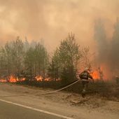 En Sibérie, plus de 1500 pompiers mobilisés contre les feux de forêt