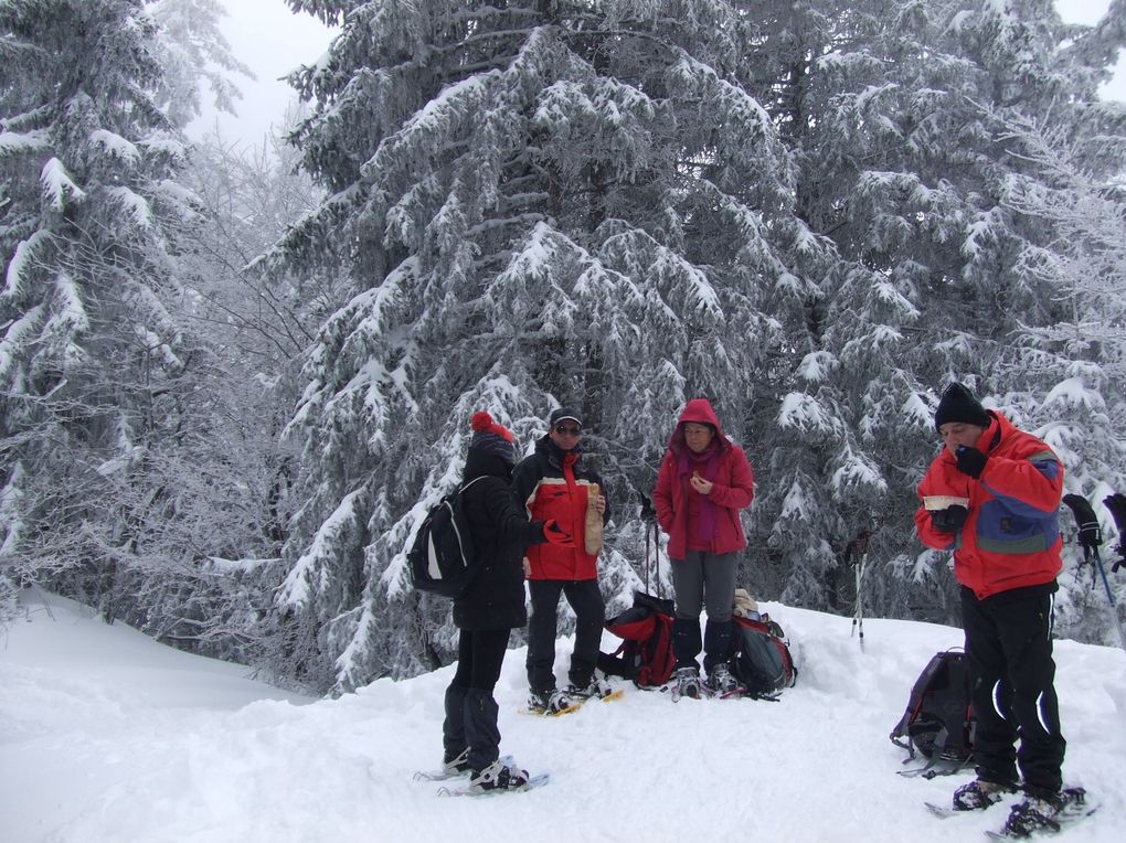 Album - 2013 - Hiver