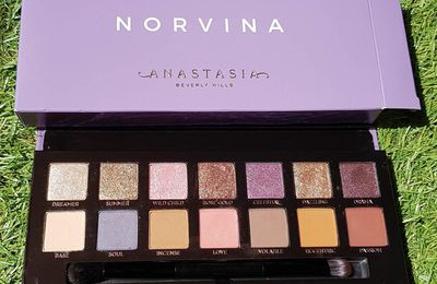  Norvina , ma première fois avec une palette Anastasia Bervilly Hills