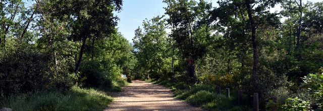 LE PONT DES TUVES UNE FRONTIERE NATURELLE