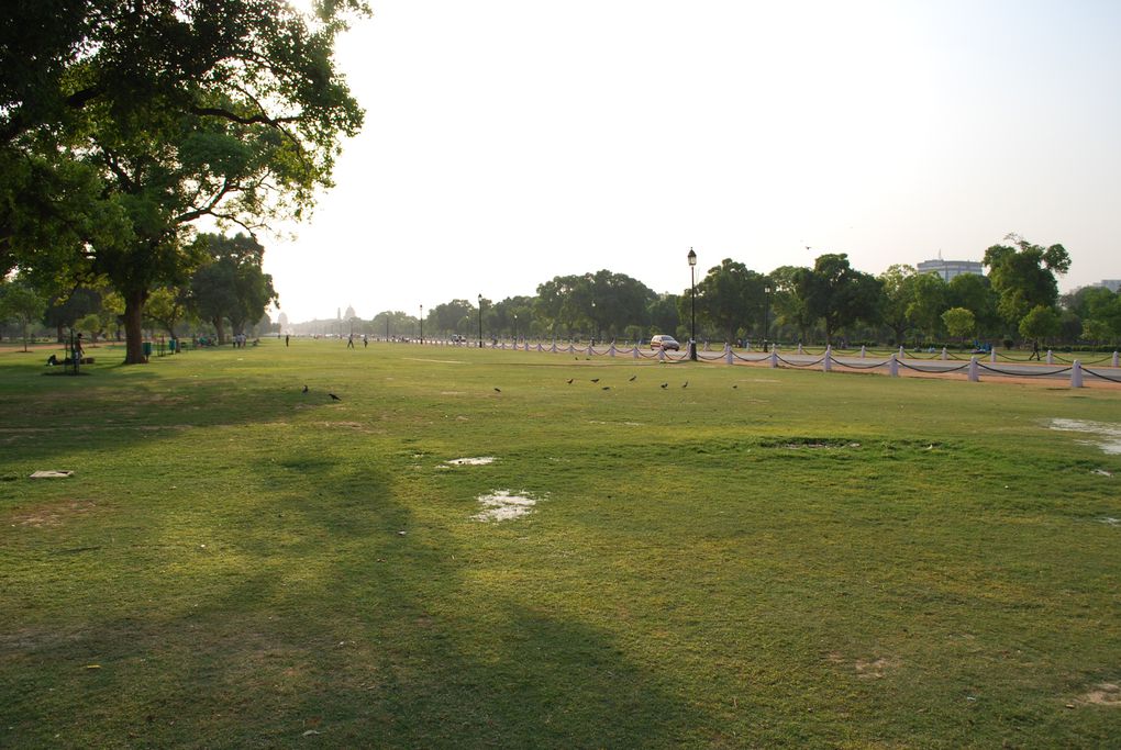 Album - Delhi