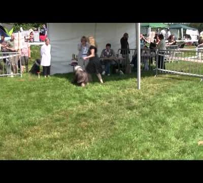 22/05/2011 Expo de Vittel