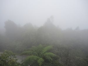 Une vue imprenable sur les environs depuis là haut...