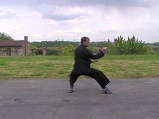 2ème partie du 2ème duan Yangjia michuan taiji quan