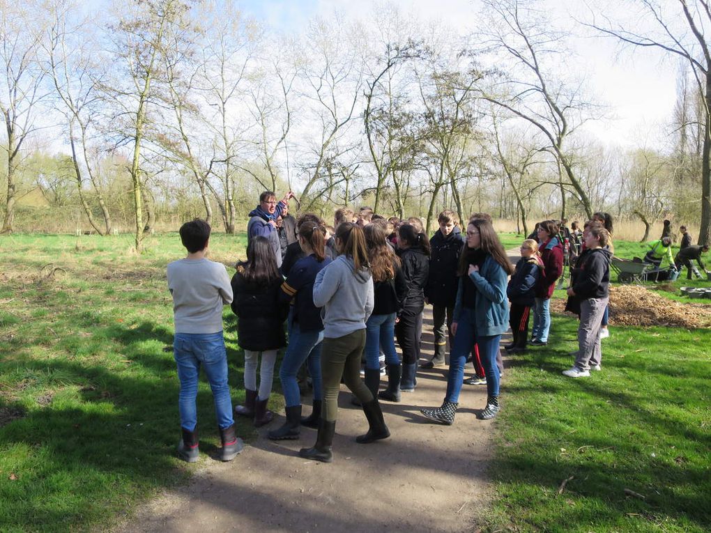 O3 A8 Planter des arbres pour fêter l'Europe