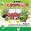 Obat Eksim Akut