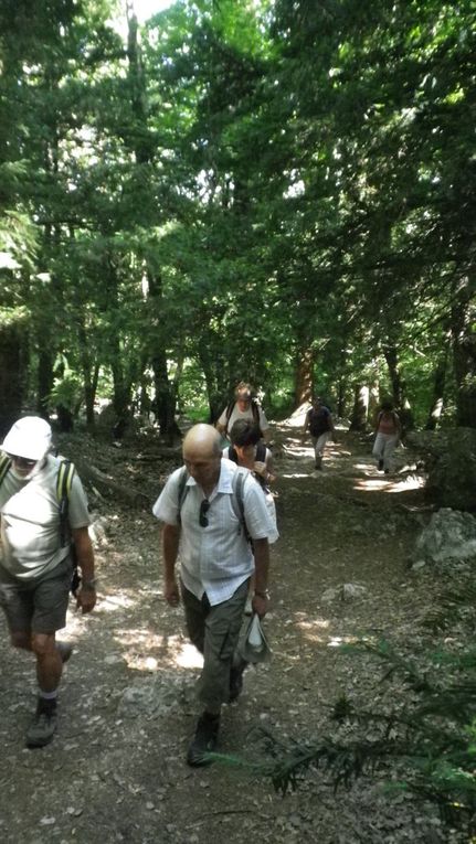 Ste Baume, la Grotte et le sentier merveilleux..